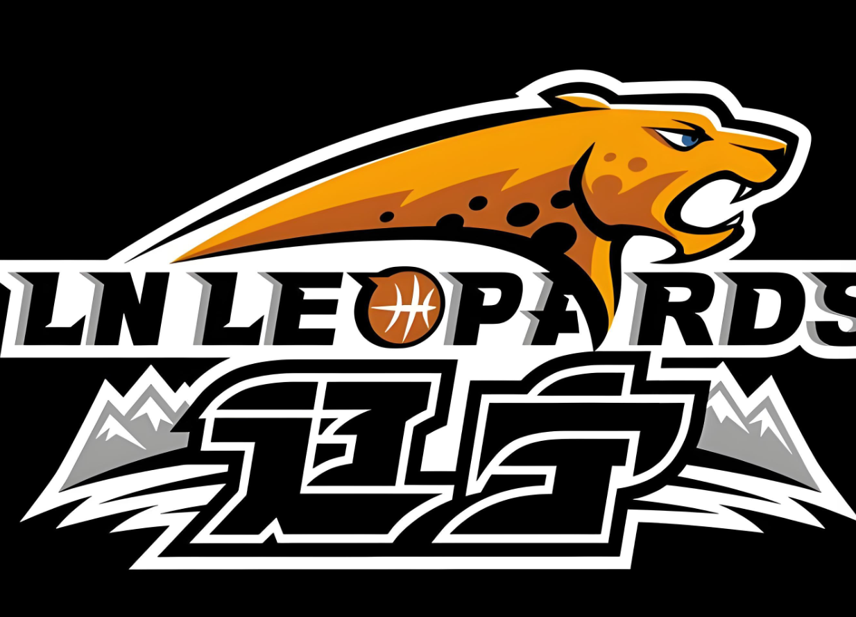 九游体育官方网站-辽宁队好消息！接下来进入甜蜜期，有望收获4连胜